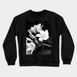 Plumeria in Black And White Crewneck Sweatshirt